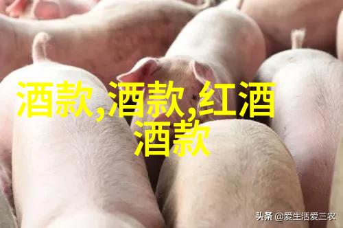 在伦敦奥林匹克会展中心的葡萄酒博览会上你如何评价一瓶红酒的价格