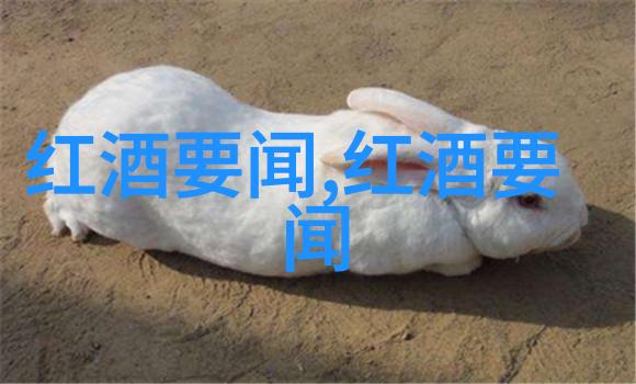 猫品种大全及易发病-探索每一只宠儿全球主要猫品种及其常见健康问题