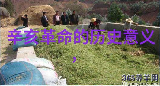 为什么要选择勃艮第而不是波尔多呢皮埃蒙特产区的故事等着你去发现