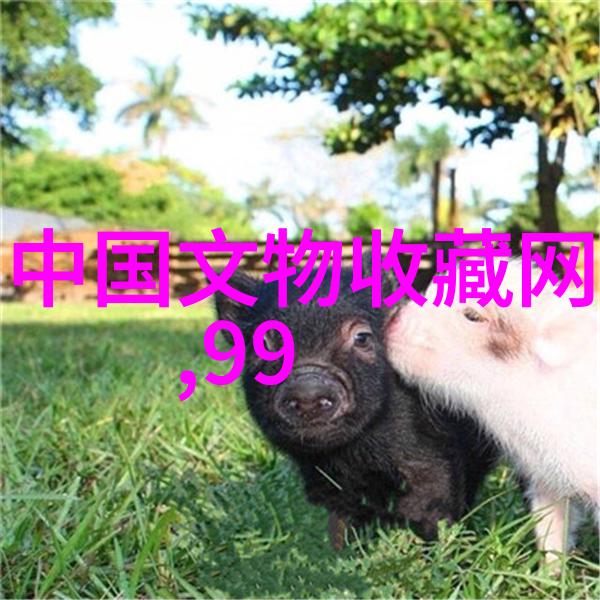 母亲的初恋味道七个字的鱼汤饭记忆