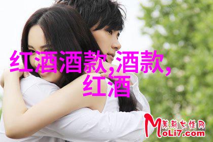 红酒市场上的罗曼尼康帝葡萄酒一瓶的璀璨之美与不菲价格