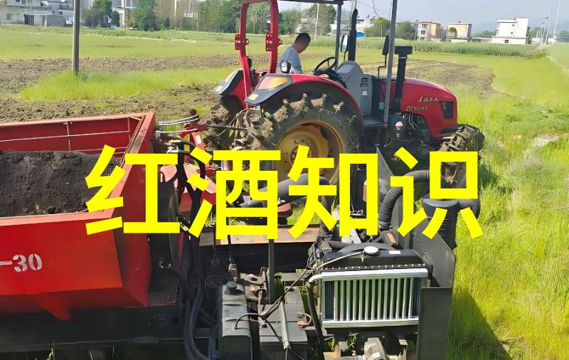 斑点或马赛克混合品种