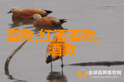 天空之城国语版梦幻浮岛的奇迹与悲剧