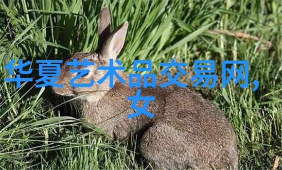 在高清时代的浪潮中如何捕捉到那些精美人物图片背后的故事和情感