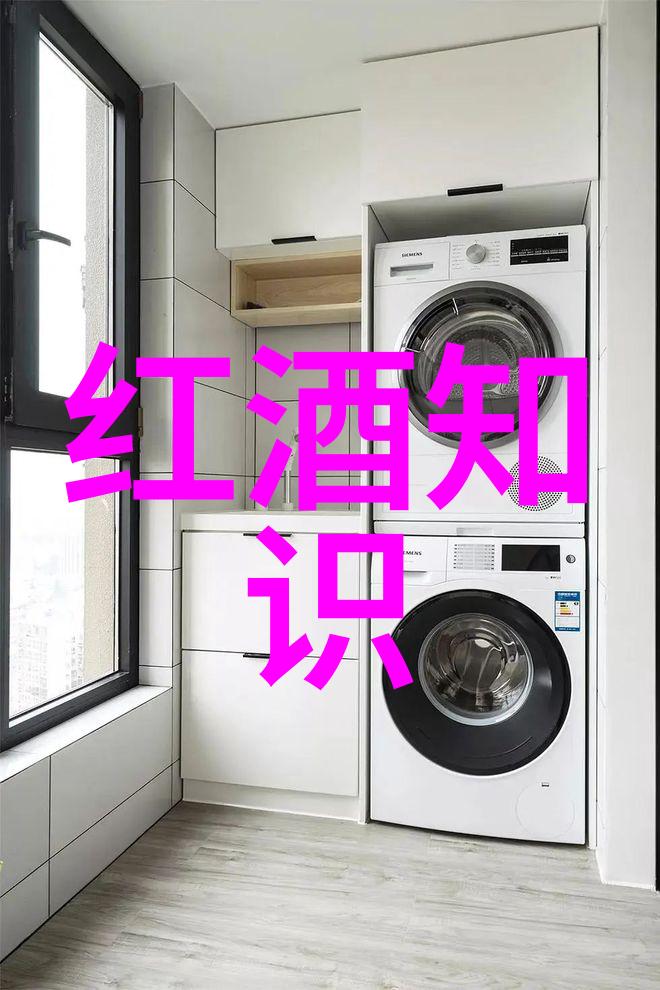 裙摆舞动科技绽放吹裙子电脑版的创意与实用