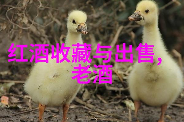 探秘上海的二次元宝藏周边店铺指南