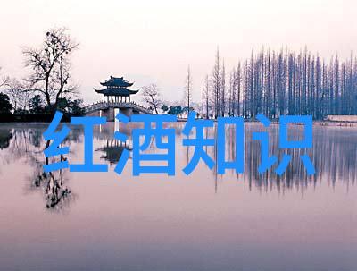 主题你知道吗葡萄酒的这些著名产区超级值得一去