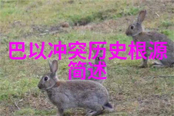 遵义会议的历史意义Penfolds在迈阿密艺术周庆祝2022年全球葡萄酒收藏