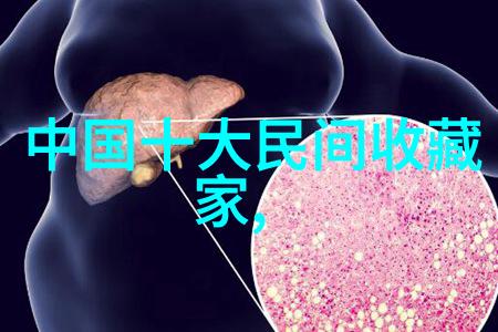 蚂蚁庄园从阳光下的忙碌到夜幕下的答案