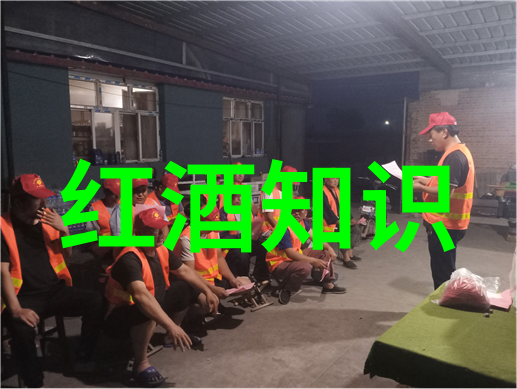 地理位置与气候条件对品质影响深远吗探索黑皮諾之地的地理要素