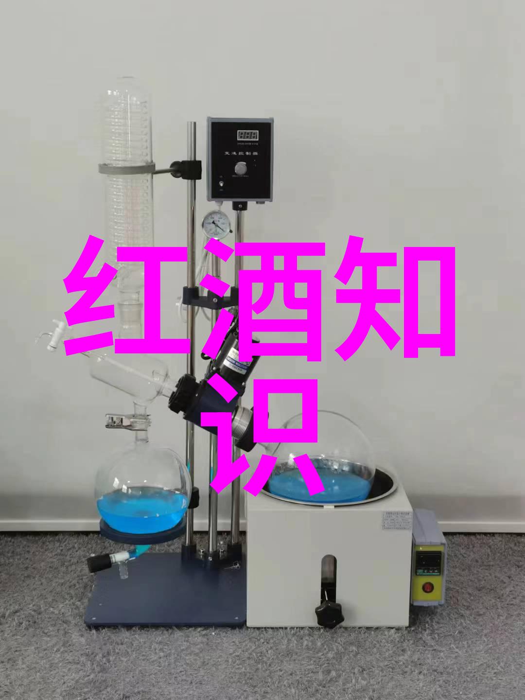 历史的长河从古代帝王到现代网红八上必备笑料与智慧
