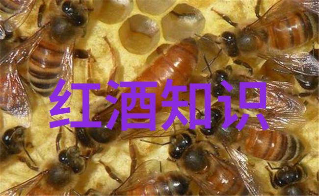 文物局鉴定真相背后隐藏多少金钱游戏