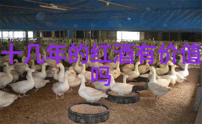 南土酒庄每日庄园小课堂答案在自然中寻觅