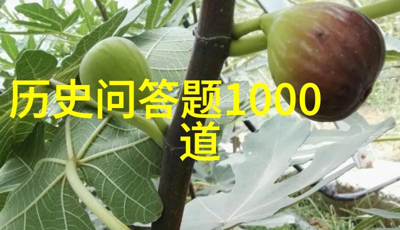 亲子共筑梦境家庭合作种植项目活动方案