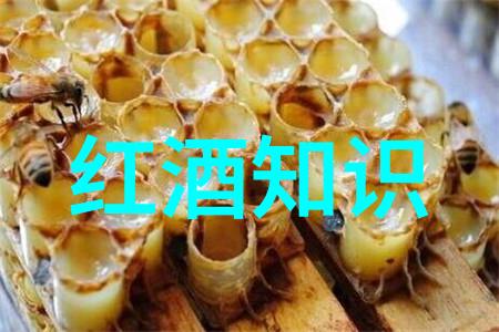 今天蚂蚁庄园小课堂的答案是什么希望酒庄