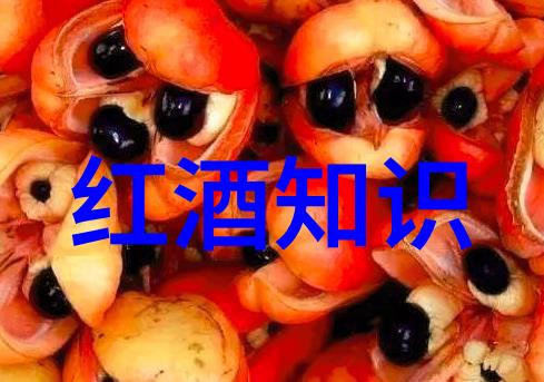 道尔恰酒庄解析葡萄酒文化的数据背后