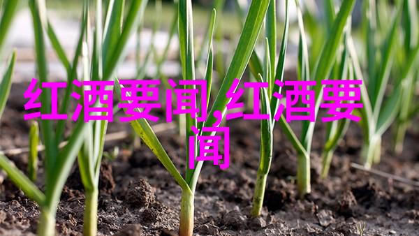 故事与真实交织历史小说如何塑造历史人物的面貌