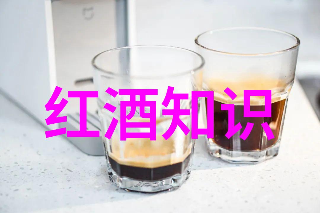 红酒与人生的交融一杯醇熟的感悟