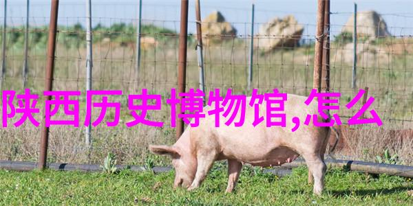 百度知道首页探索知识的源泉