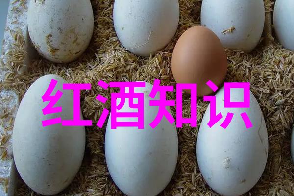 中学历史教学园地深化学生对历史文化的理解与兴趣