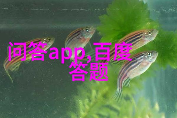 布鲁索姆路酒庄中世纪庄园之谜深藏在密集的分布中