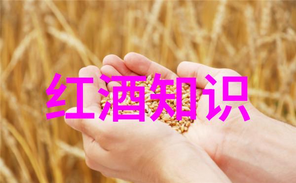 未来可期一起庆祝中国红白两足金靴我国著名红白二足金靴 展望和思考