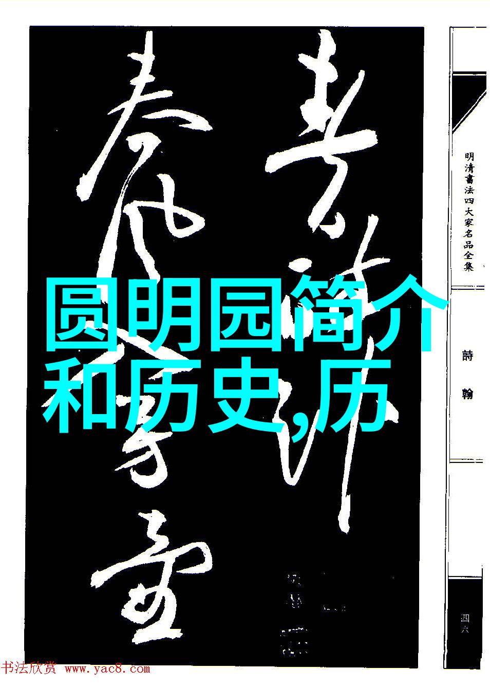 经济回顾探索不同时代经济发展的轨迹