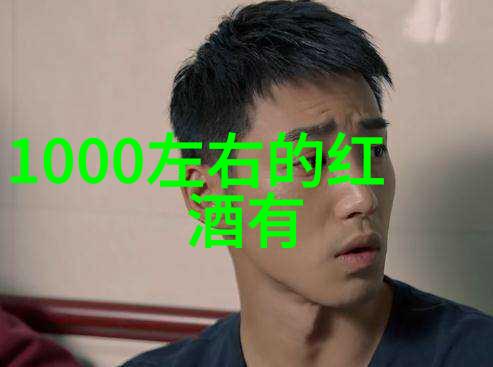 意大利葡萄酒界巨星第80-第76位感动中国十大人物风采绽放