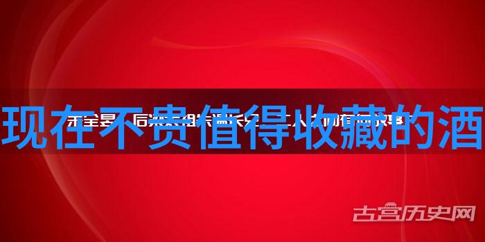 张嘉文涵时尚模特与演员的双重魅力