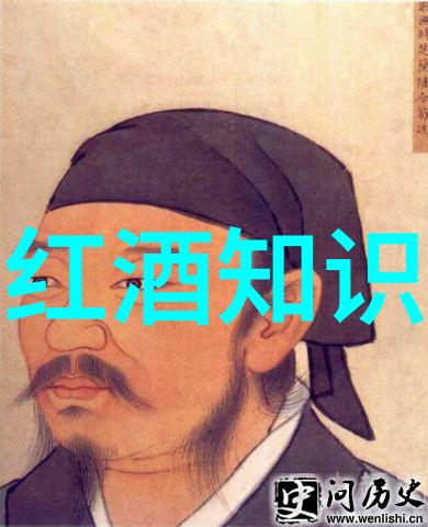 葡萄酒的源远流长探索古老产区的魅力与智慧