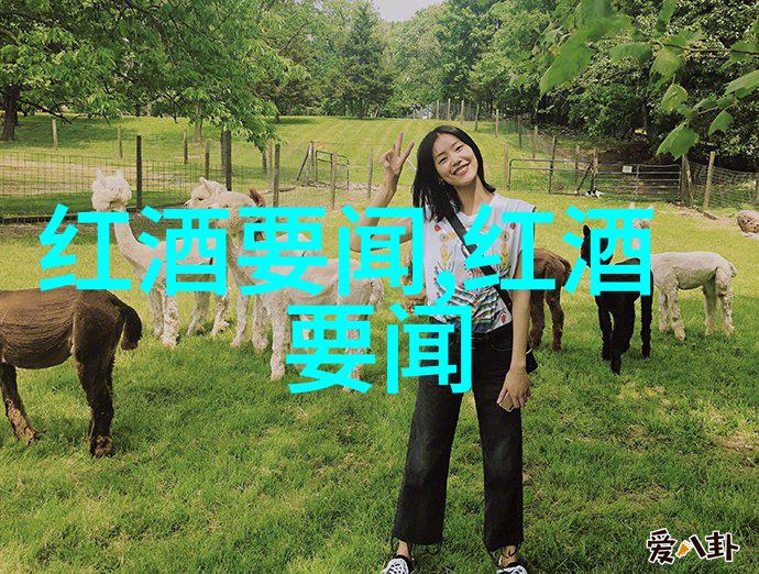 中世纪庄园制度的影响从封建分割到现代社会遗留