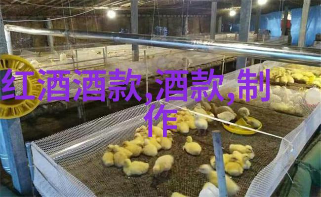 杂志价格学探究收藏品价值与市场动态