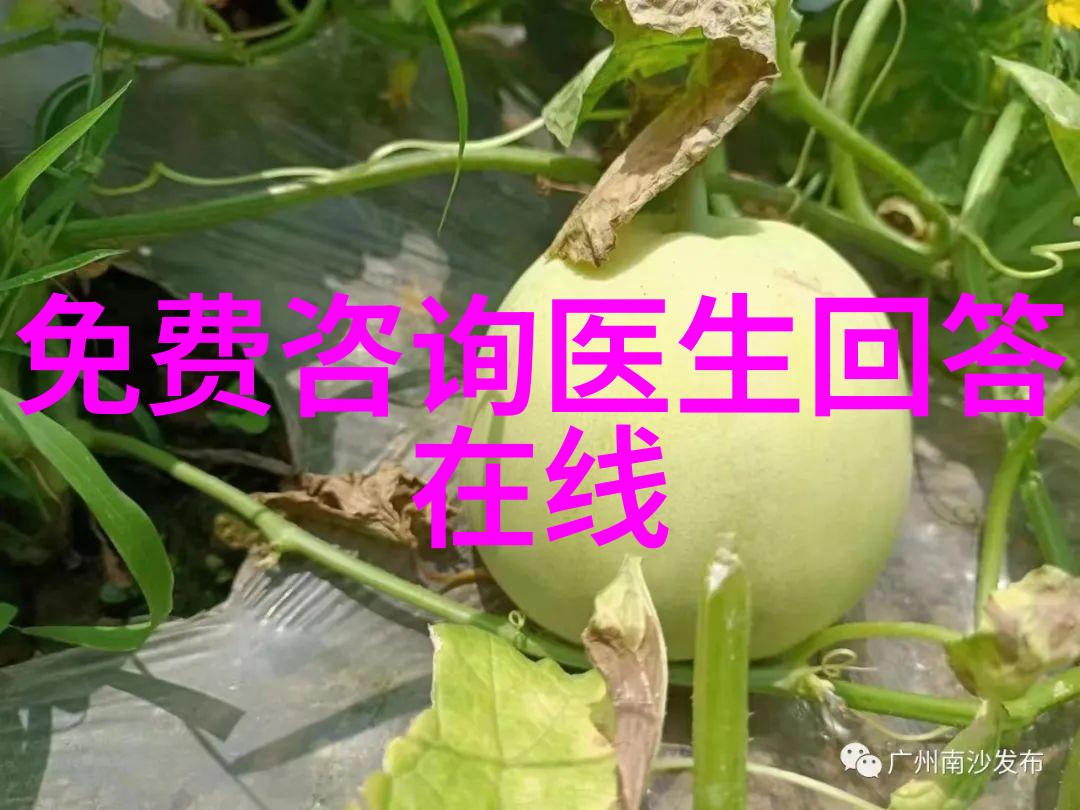 欧洲庄园古老的避风港与时尚的生活艺术
