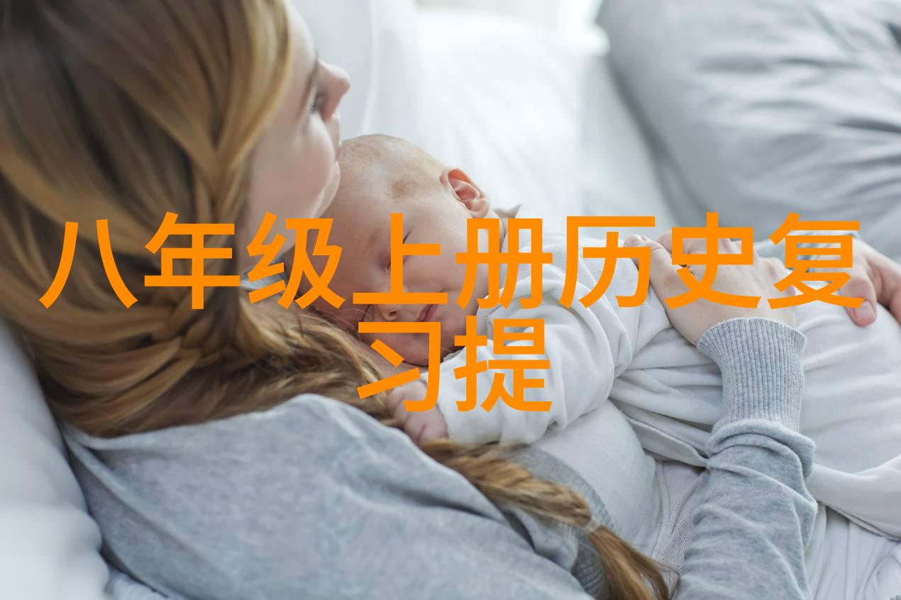 中世纪庄园分布密度欧洲中古时期庄园地理分布的分析