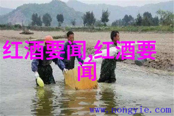 云南咖啡八大产区我的咖啡梦想之旅