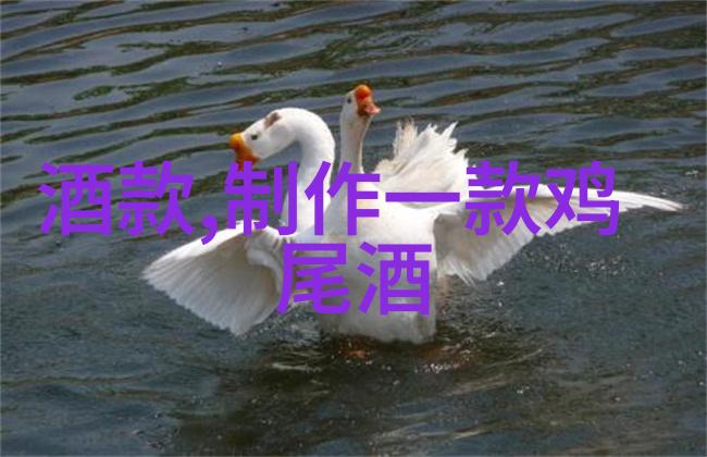 人民币纸币收藏网纳帕谷未来行动分歧引人深思