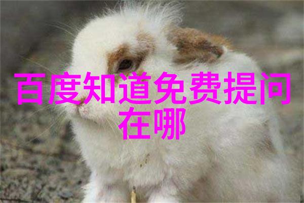 守护时光的铠甲与花园中世纪骑士庄园的历史与奇迹