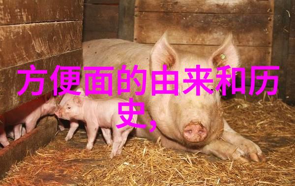 上海周边民宿农家乐推荐品尝酒酿汤圆的做法