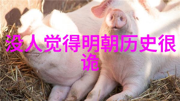 我去探访意大利出名十大酒庄品一品世界级葡萄酒的精华