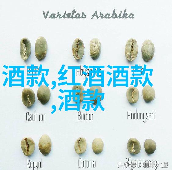 全程不盖被子的扑克挑战揭秘玩家心理战术