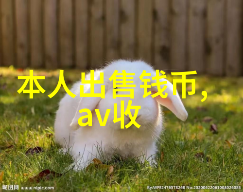 探秘东莞十大免费景区发现真实的魅力