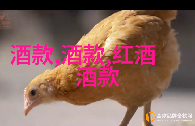 从北京到广州揭开隐藏在角落里的中国十大富豪之家