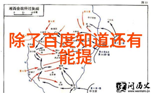 玉米图片真实照片美味农作物的丰收景象
