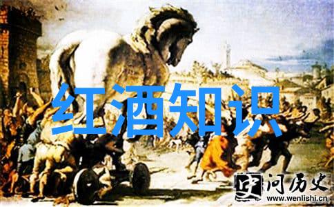 世界葡萄酒文化-醉美地探索全球葡萄酒的风土人情