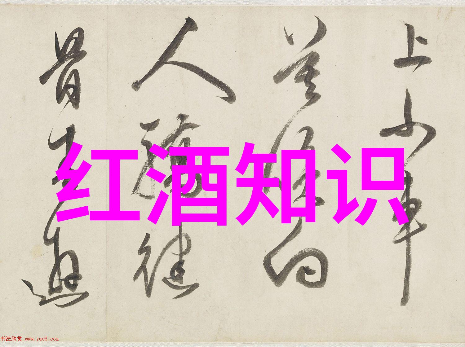 上海周边最佳攀岩胜地指南