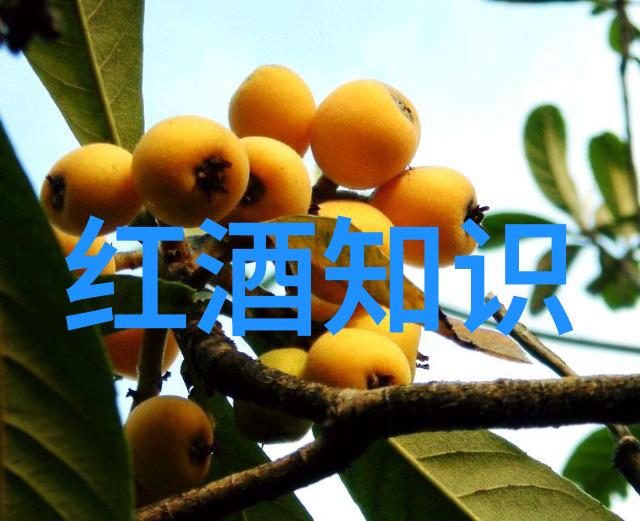 张家界最美的时光让餐酒搭配如诗般绘声绘影的五条黄金准则