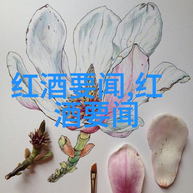 红酒产区级别-品鉴之旅探索世界各大红酒产区的精华