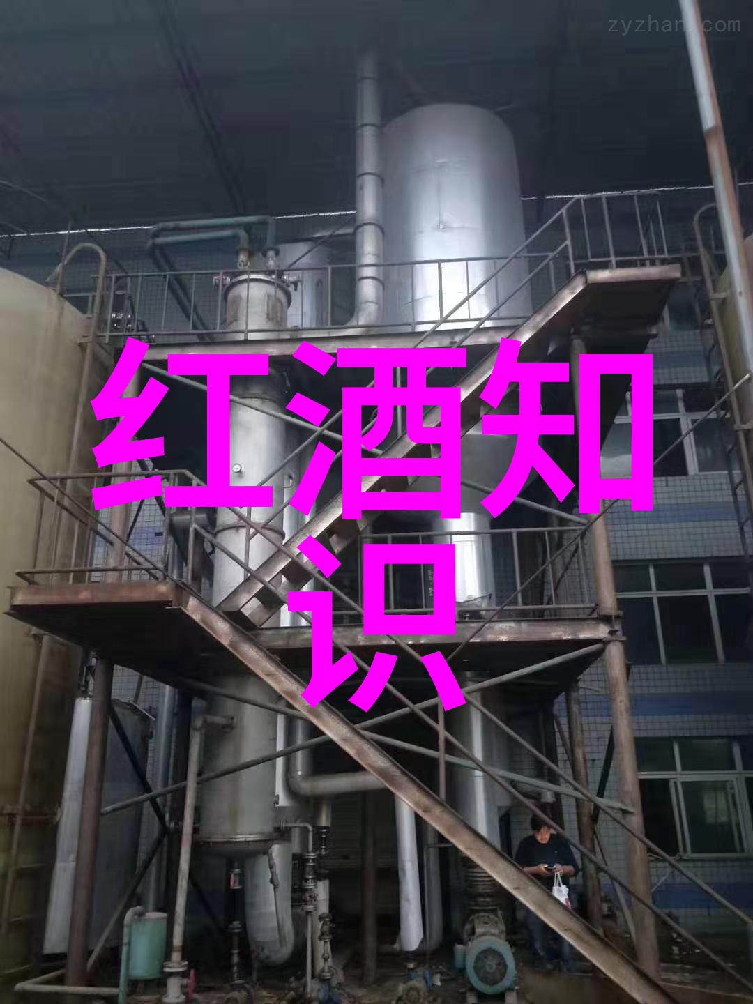 玫瑰花品种名字大全绚烂的自然艺术