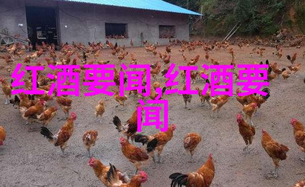 猫的秘密花园Ros葡萄酒音乐节春风拂过回归休斯顿