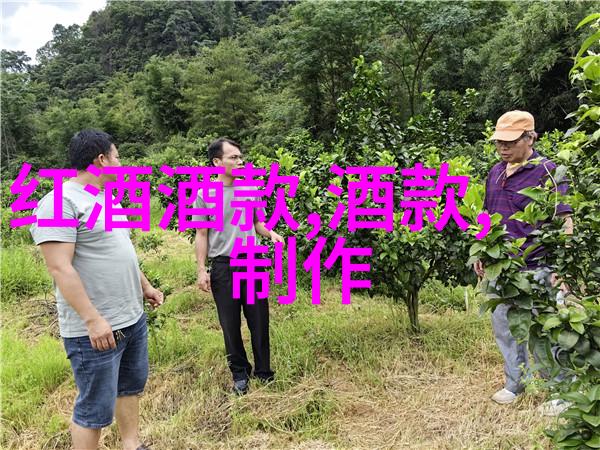 全国钱币收藏博览会我眼中的金银世界从古到今的货币变迁